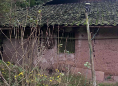 便把建正在了接近旁的可耕地上